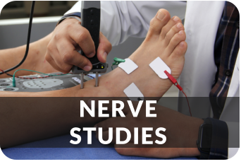 NERVESTUDIES