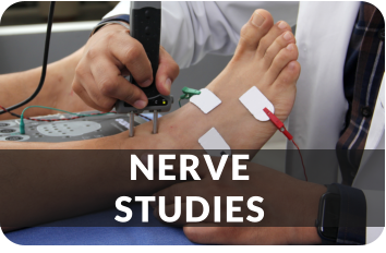 NERVESTUDIES