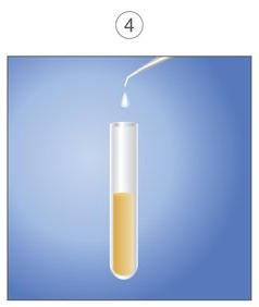 Illustration of tube with only plasma in it.